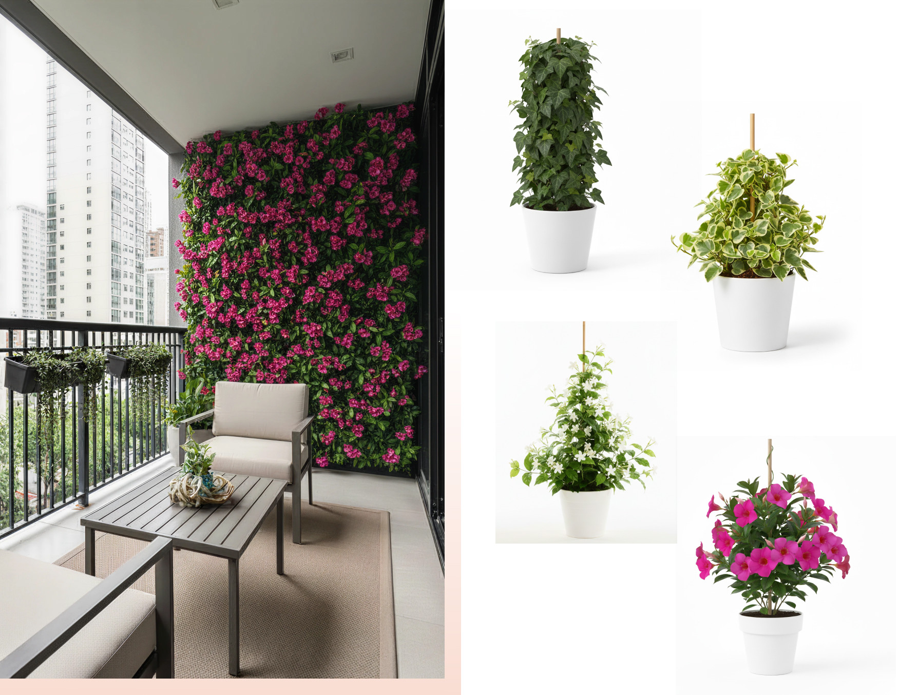 Moodboard de inspiración con una foto de una terraza con un muro con mandevilla, muebles metálicos grises con cojines blancos, una alfombra beige y vista a la ciudad. Al costado hay 4 plantas trepadoras disponibles en Sodimac.