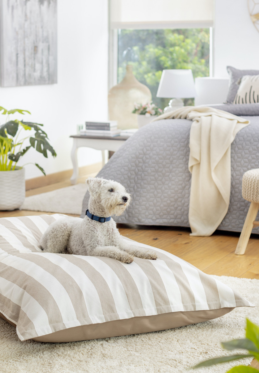 Dormitorio clásico con piso de madera. Gran cojín en el suelo con un perro blanco. Atrás se ve una cama con cobertor gris y una manta blanca.